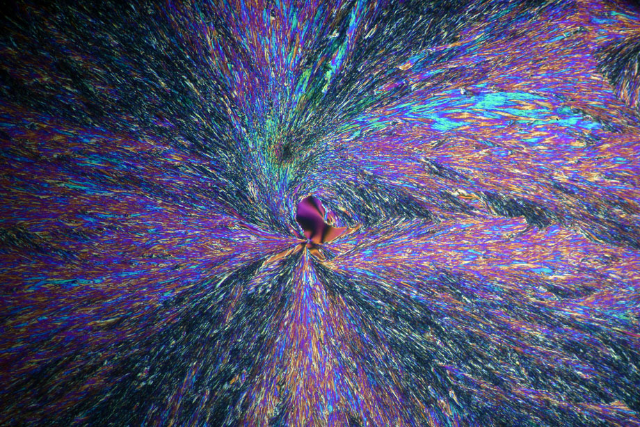 Ascorbic Acid crystals in crossed polarizers with Diaphot TMD and DIC condenser.